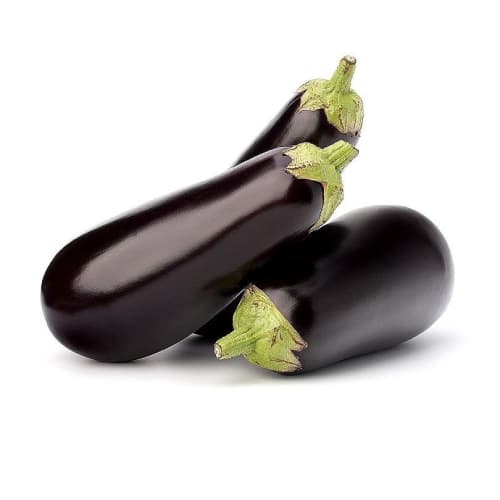 Aubergine