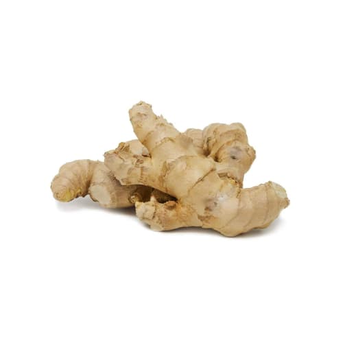 Ginger