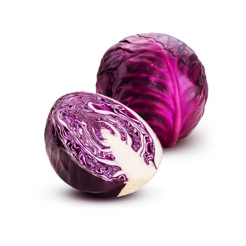 Cabbage Red