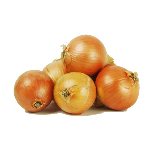 Onion